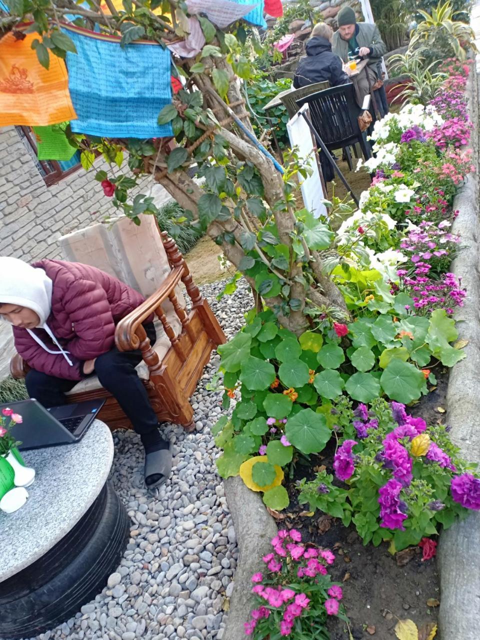 Little Pilgrim Lodge Pokhara Bagian luar foto